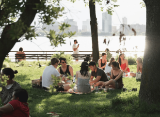 Tipps für ein gelungenes Picknick